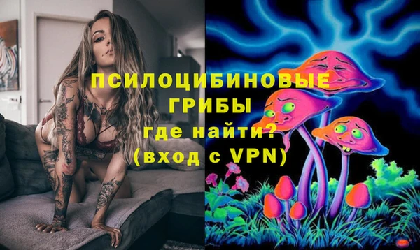 ECSTASY Навашино