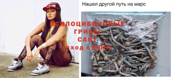 ECSTASY Навашино