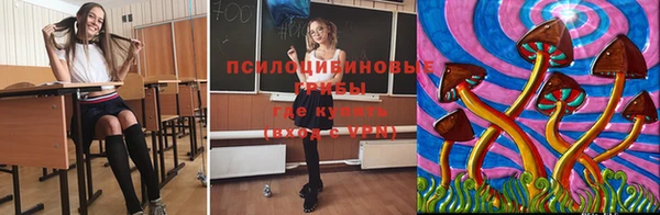 ECSTASY Навашино