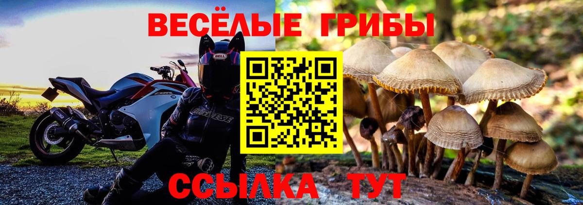 Галлюциногенные грибы Cubensis Тюмень