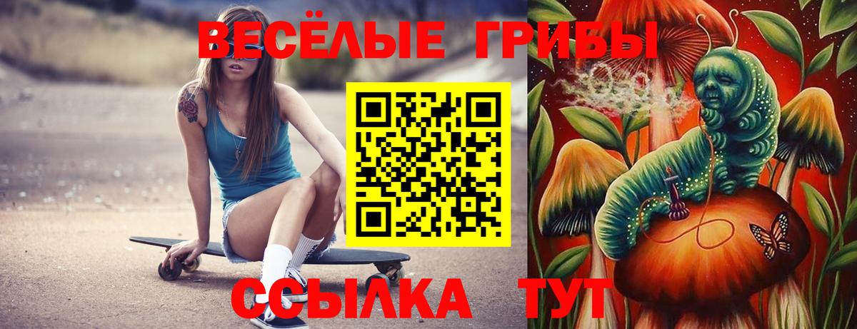Псилоцибиновые грибы Psilocybe  Вход с VPN  Тюмень 